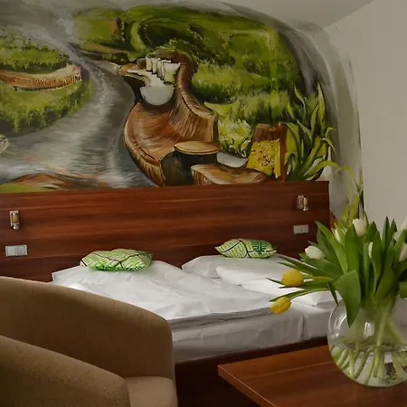 Lipno-apartman D110 *