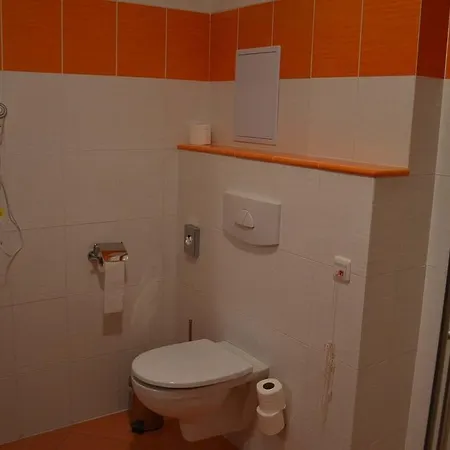 Lipno-apartman D110