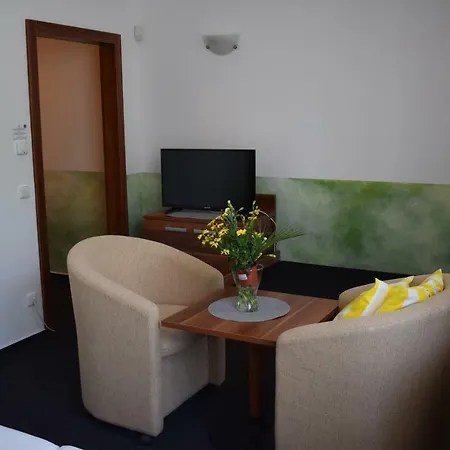 Lipno-apartmán D110 *