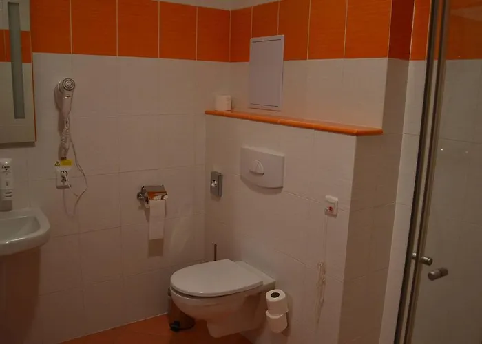Lipno-apartman D110