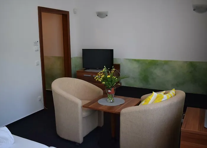 Lipno-apartman D110 *